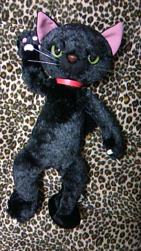 黒にゃんこ